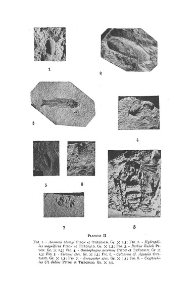 Fichier:ALS 1939 4bisop.pdf