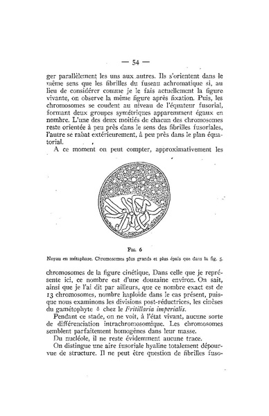 Fichier:ALS 1939 4bisop.pdf