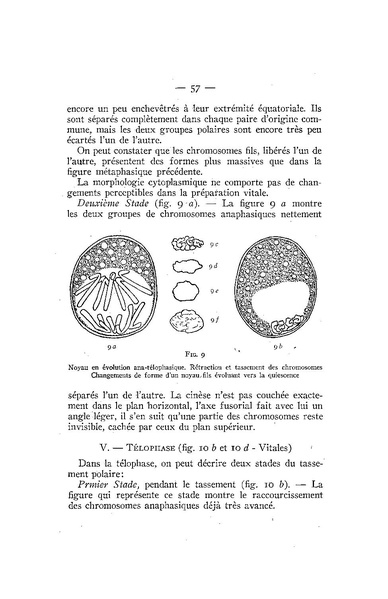 Fichier:ALS 1939 4bisop.pdf