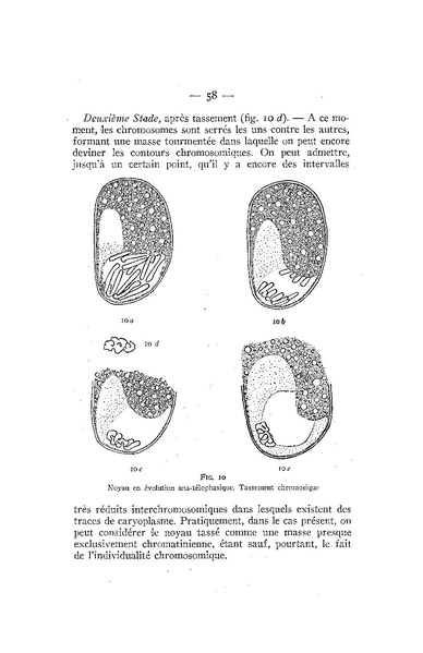 Fichier:ALS 1939 4bisop.pdf