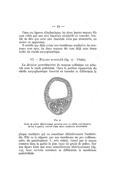 Fichier:ALS 1939 4bisop.pdf
