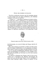 page suivante →