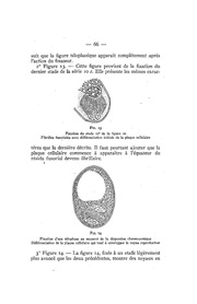 page suivante →