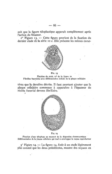 Fichier:ALS 1939 4bisop.pdf