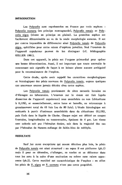 Fichier:ALS 1985 24 2.pdf