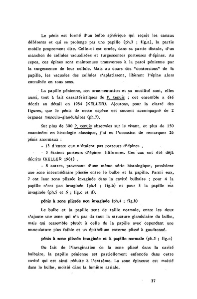 Fichier:ALS 1985 24 2.pdf