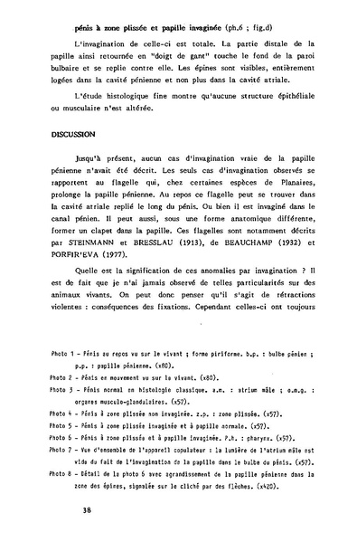 Fichier:ALS 1985 24 2.pdf
