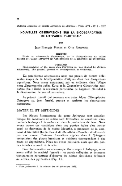 Fichier:ALS 1977 16 3.pdf