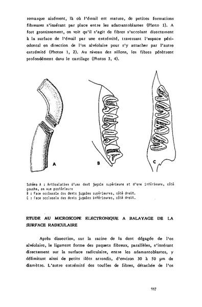 Fichier:ALS 1987 26 4.pdf