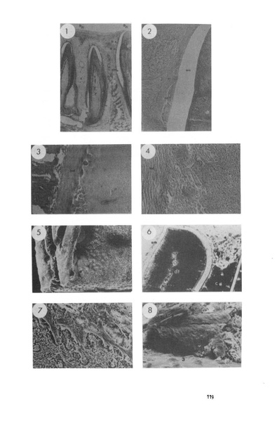 Fichier:ALS 1987 26 4.pdf