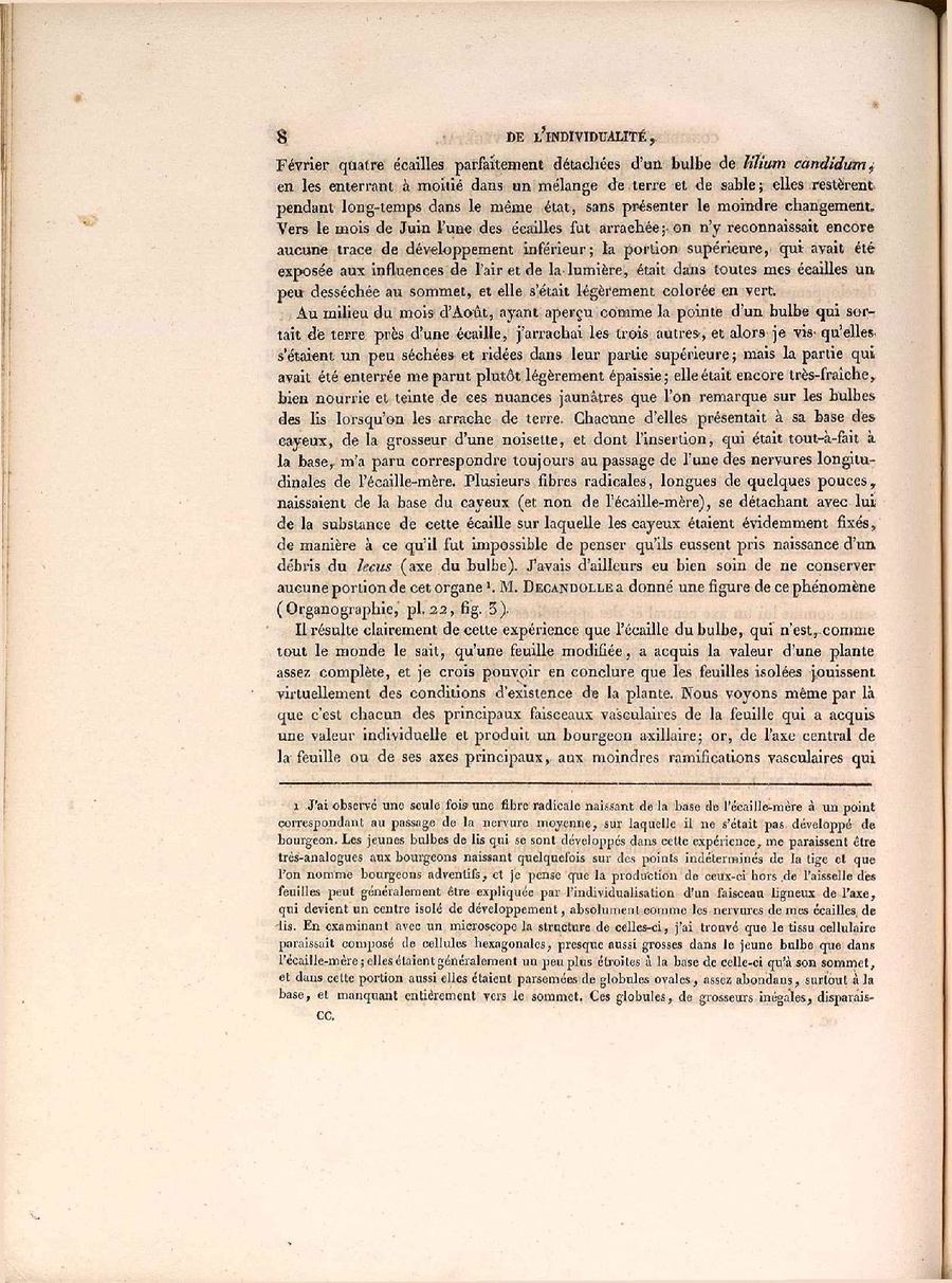 CSIC RJB Strasb 2 1 Steinheil.pdf