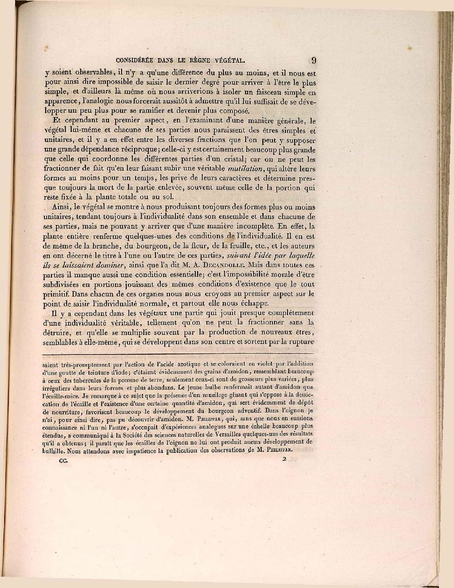 CSIC RJB Strasb 2 1 Steinheil.pdf