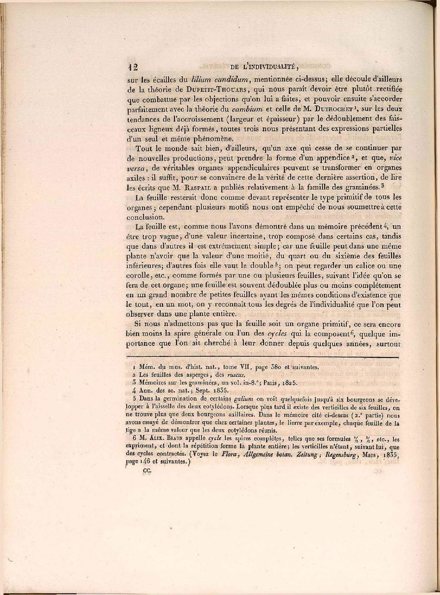 CSIC RJB Strasb 2 1 Steinheil.pdf
