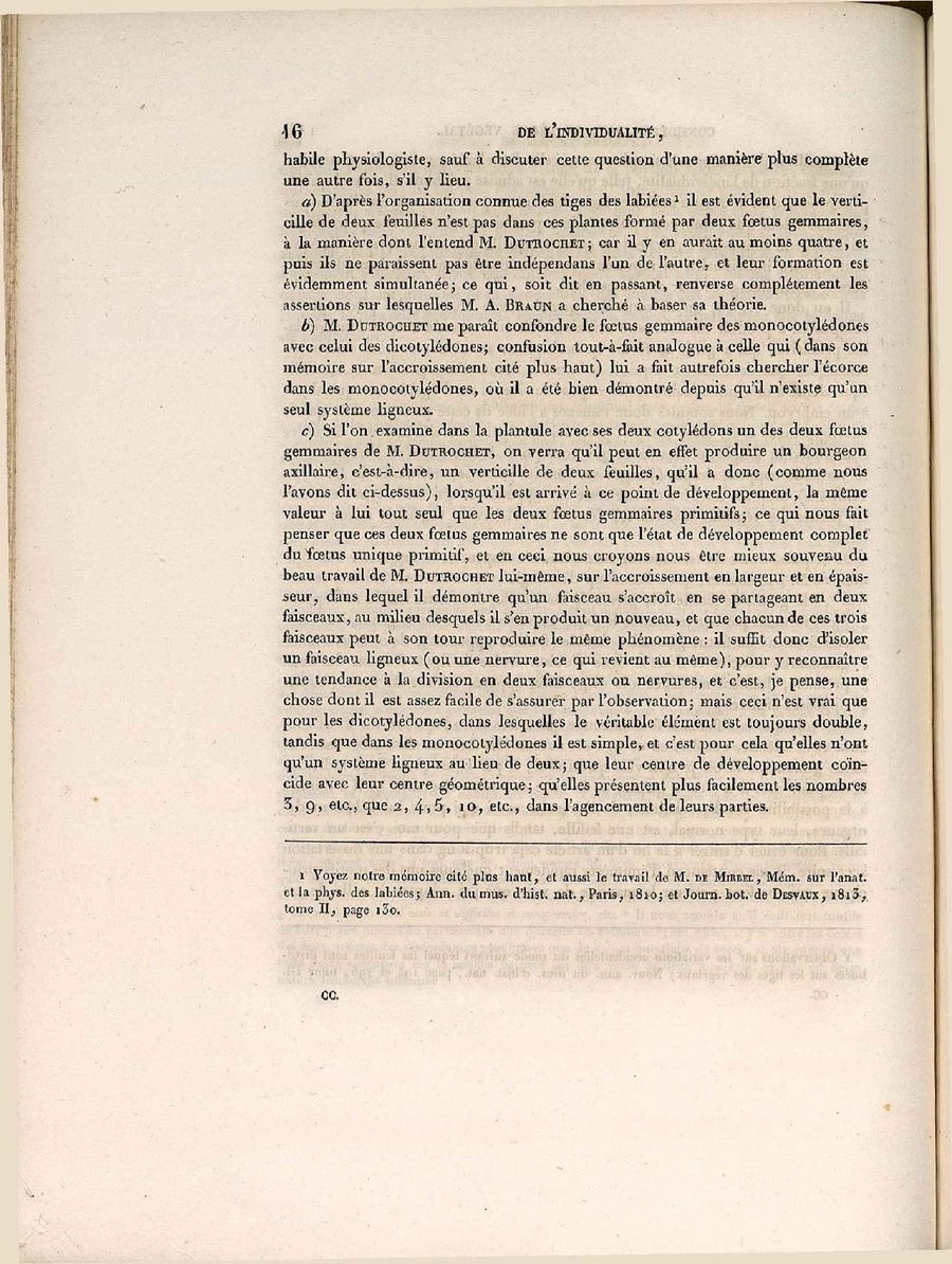 CSIC RJB Strasb 2 1 Steinheil.pdf