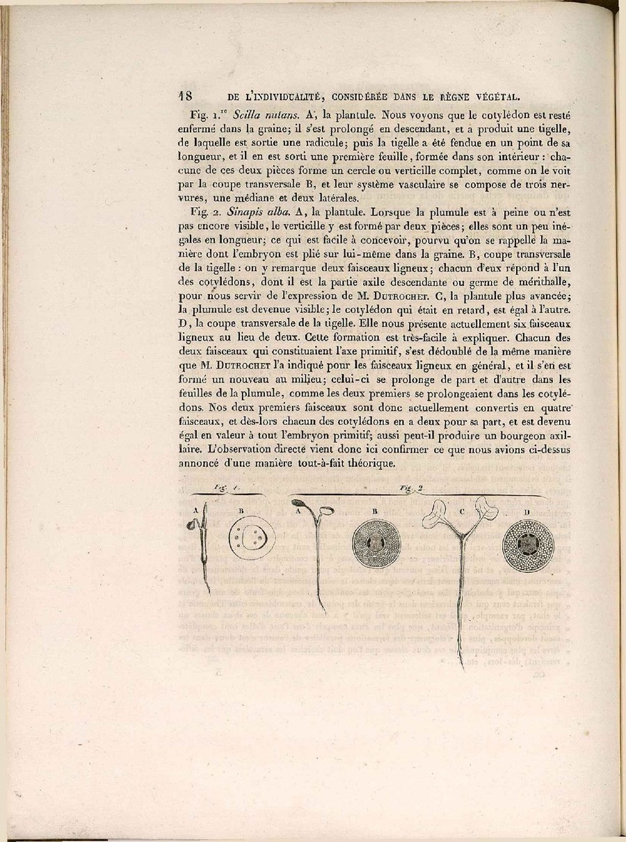 CSIC RJB Strasb 2 1 Steinheil.pdf