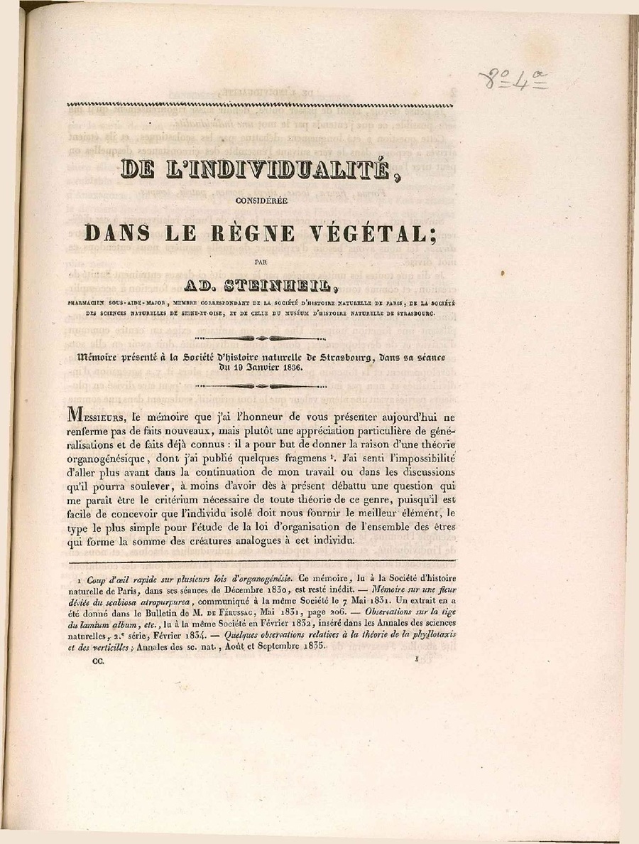CSIC RJB Strasb 2 1 Steinheil.pdf
