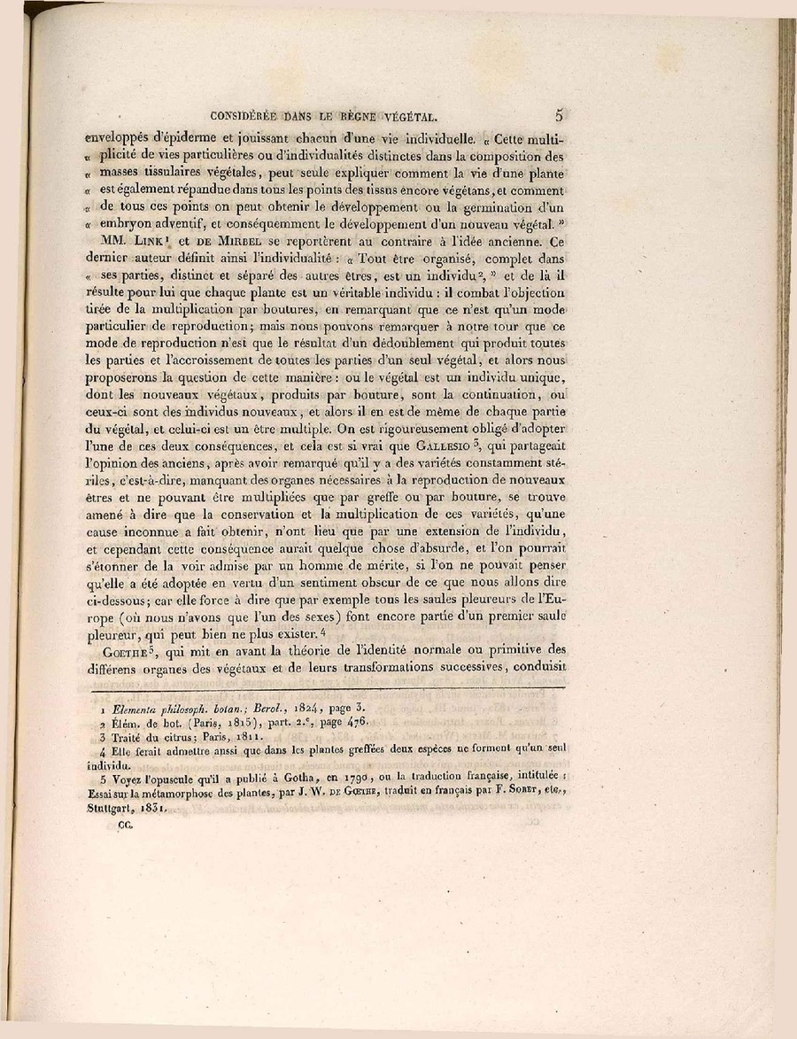 CSIC RJB Strasb 2 1 Steinheil.pdf