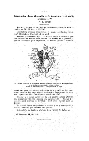 Fichier:ALS 1945 1-6.pdf