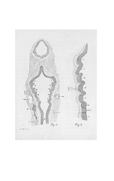 Fichier:ALS 1888 9 22.pdf