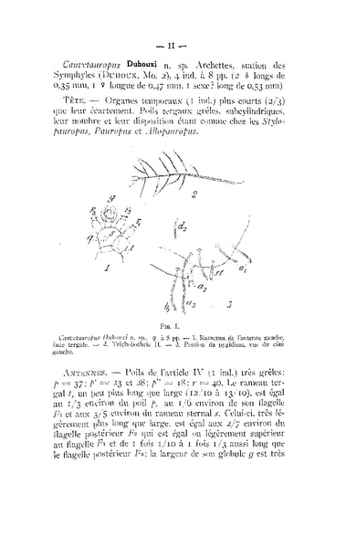 Fichier:ALS 1960 1.pdf