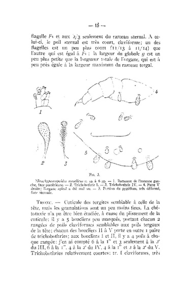Fichier:ALS 1960 1.pdf