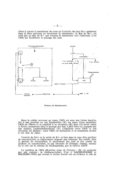Fichier:ALS 1962 4.pdf