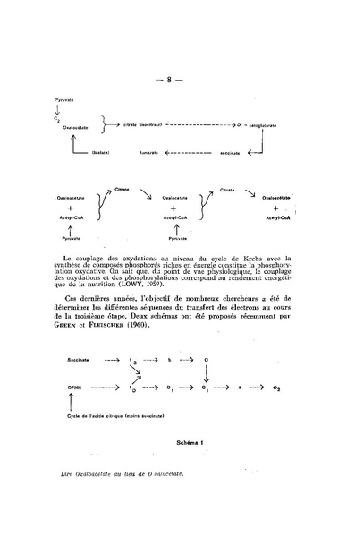 Fichier:ALS 1962 4.pdf