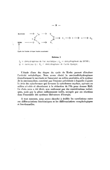 Fichier:ALS 1962 4.pdf