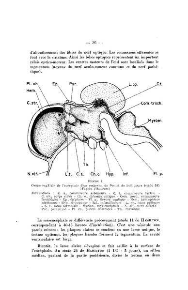 Fichier:ALS 1962 4.pdf