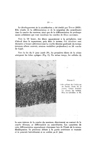 Fichier:ALS 1962 4.pdf