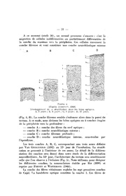 page suivante →