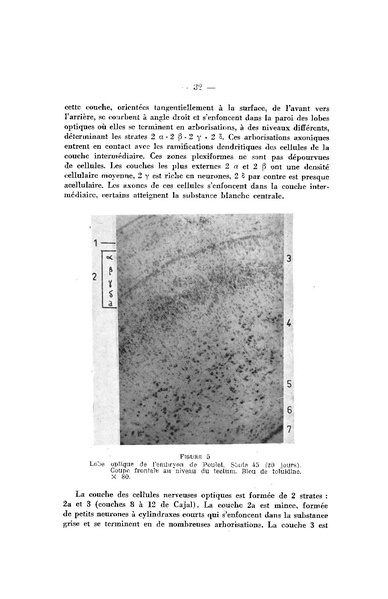 Fichier:ALS 1962 4.pdf