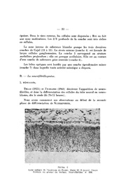 page suivante →