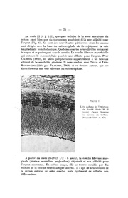 page suivante →