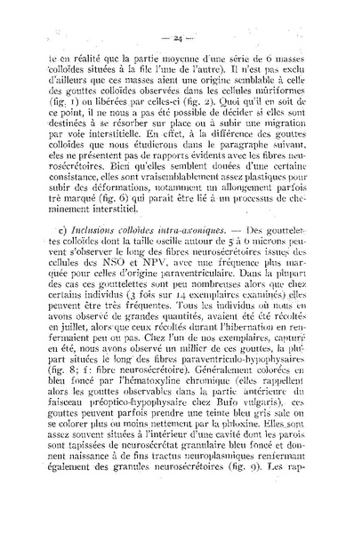 Fichier:ALS 1955 1.pdf