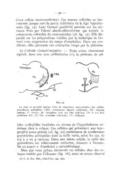 page suivante →