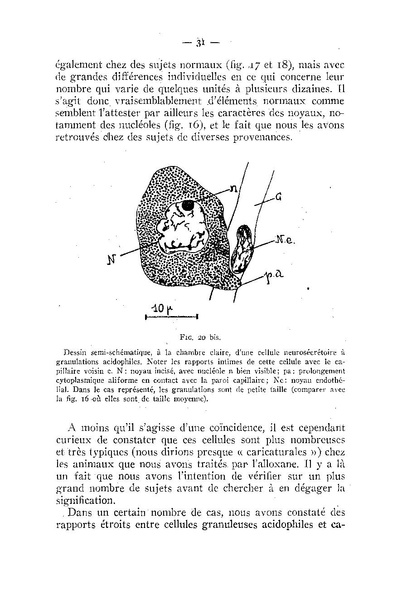 Fichier:ALS 1955 1.pdf