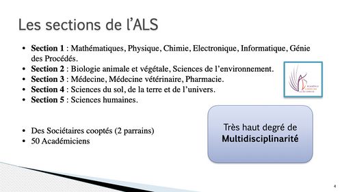 HIS 9 intro images.004.jpeg