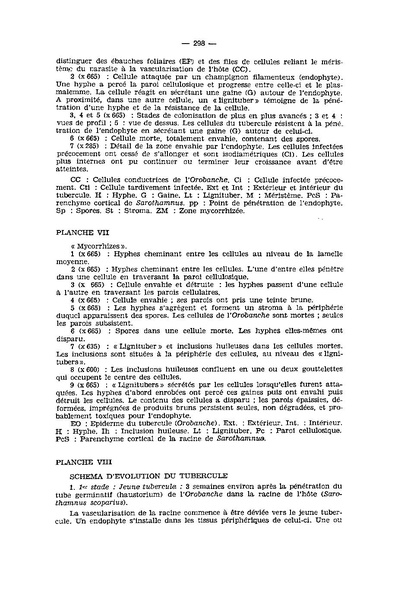 Fichier:ALS 1974 13 4.pdf