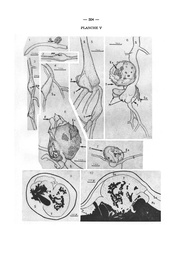 page suivante →
