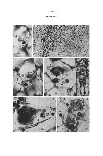 Fichier:ALS 1974 13 4.pdf