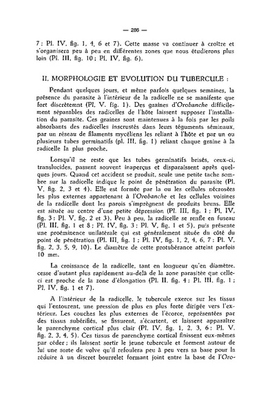 Fichier:ALS 1974 13 4.pdf