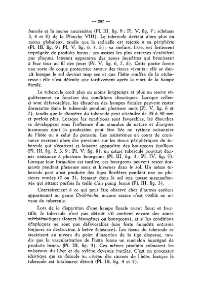 Fichier:ALS 1974 13 4.pdf