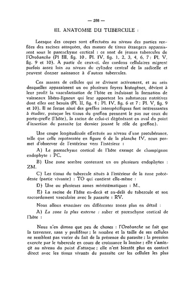 Fichier:ALS 1974 13 4.pdf