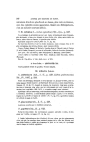 ← page précédente