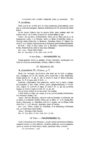 Fichier:ALS 1896 14 31.pdf