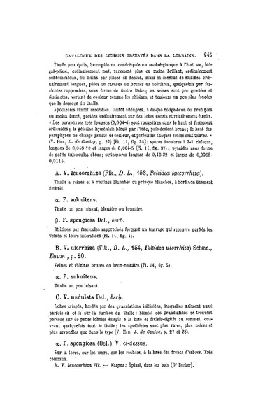 Fichier:ALS 1896 14 31.pdf