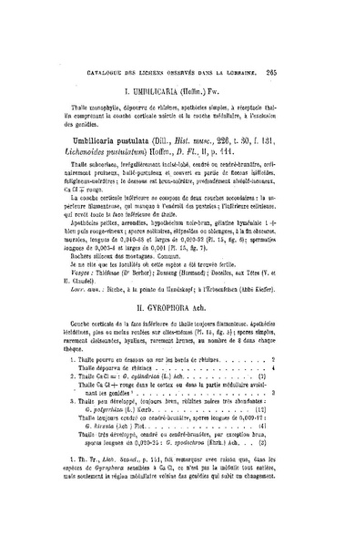 Fichier:ALS 1896 14 31.pdf
