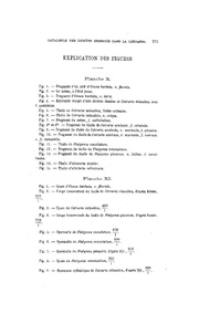 ← page précédente