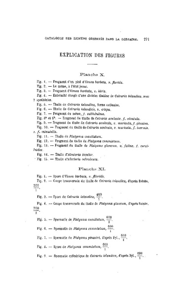 Fichier:ALS 1896 14 31.pdf